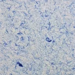 Baumwollputz Weiß mit Farbfäden Blau FLOXXAN Florida
